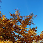 20091101 Allgaeu 0188 [640x480].JPG