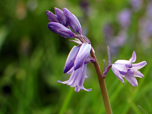 [DSC_5870%255B4%255D.jpg]