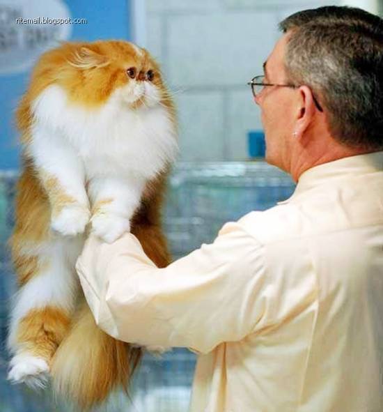 You don't take a photograph, you make it. - Ansel Adams