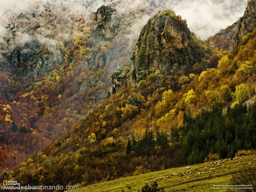 wallpapers national geographic desbaratinando (46) wallpapers national geographic desbaratinando (46)