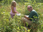 picking wild blueberries