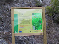 IMG_4678.JPG Photo