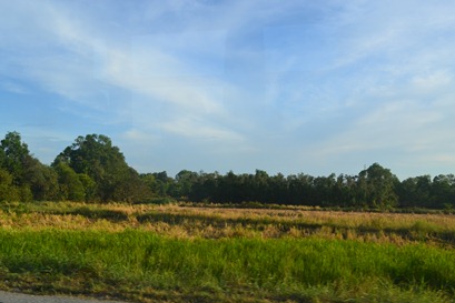 DSC_6322 DSC_6322