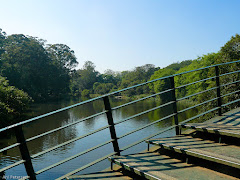 Fotos do evento Ibirapuera. Foto numero 8658494474080767638.