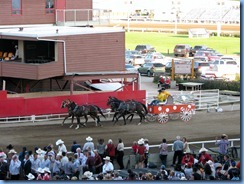 9560 Alberta Calgary Stampede 100th Anniversary - GMC Rangeland Derby & Grandstand Show - Chuckwagon Races