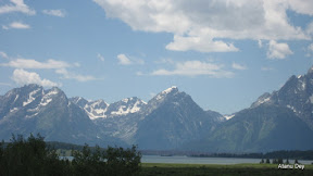 IMG_4203.jpg