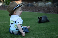 About to chase the rabbit