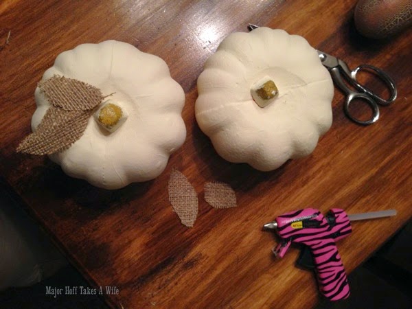 Gage the size of the burlap leaves by eye.jpg Gage the size of the burlap leaves by eye