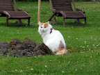 Ares juli 2009 - 3.JPG