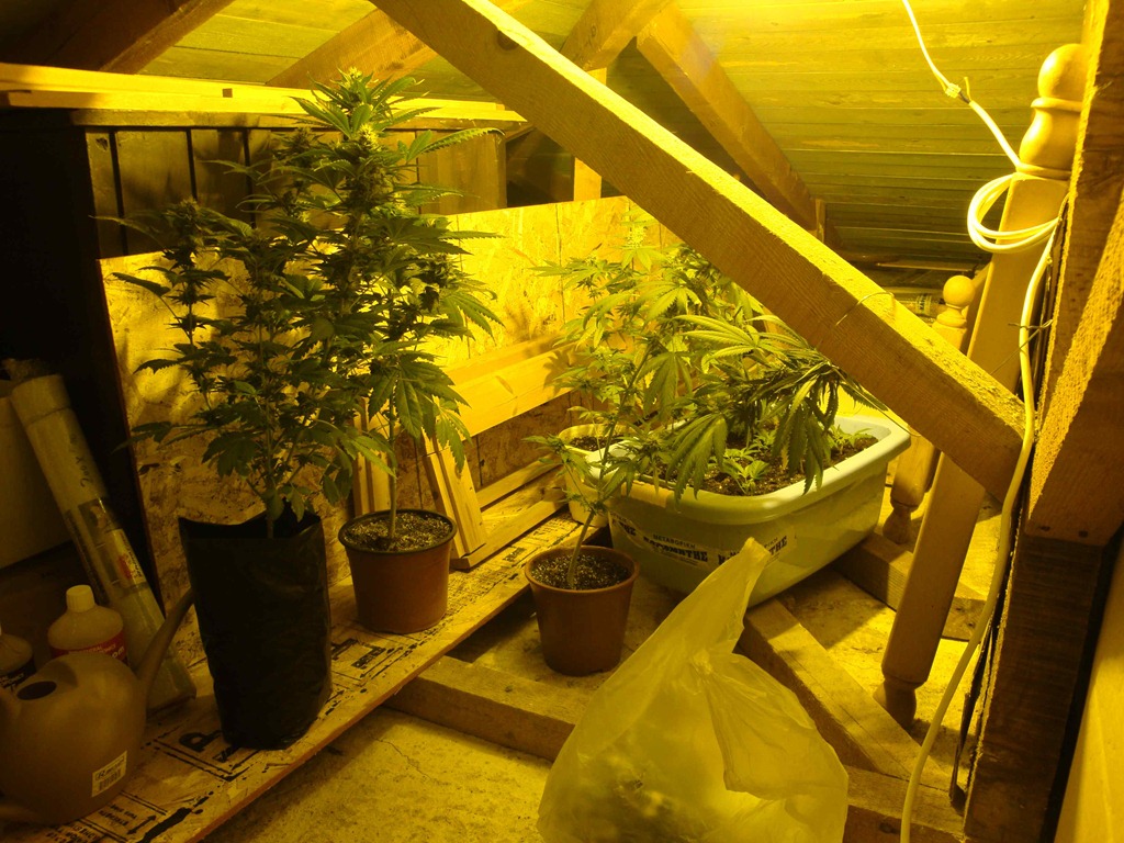 [DSC016671%255B4%255D.jpg]