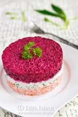 salatainstraturi2_thumb3