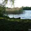 dsc02925.jpg