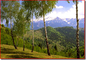 image image
