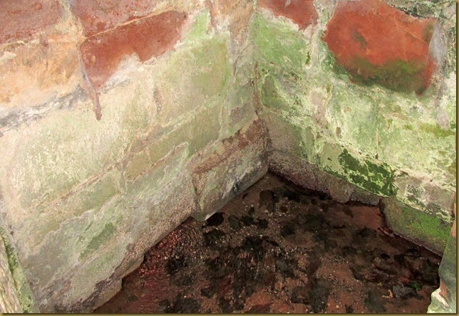 IMG_3456 IMG_3456