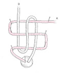 Weave end B back over all three horizontal segments of A . Then weave it back up, under the bottom two segments and over the top segment. Remove pins. Using both hands, carefully pull cord as indicated left, making a loose knot.