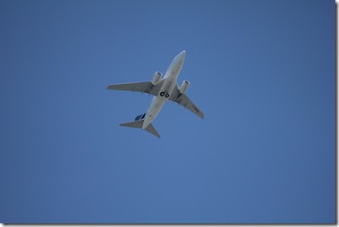 IMG_1361 IMG_1361