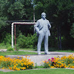 IMGP6742.jpg