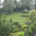 IMG_4858.JPG