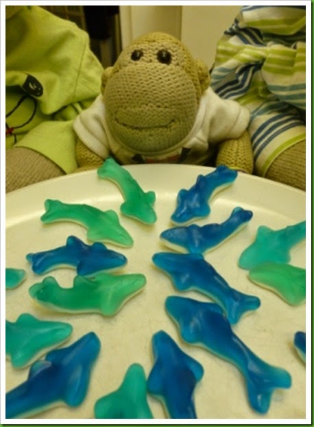 Shark feeding frenzy Shark feeding frenzy