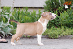 Karmacoma Suntoucher 7 weeks