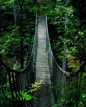 The Rope Bridge at Les Quatres Vent, photo by Richard W. Brown