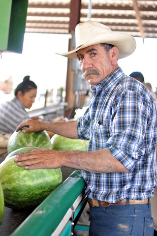 [watermelons%252011%25200705%2520%252858%2529%255B5%255D.jpg]