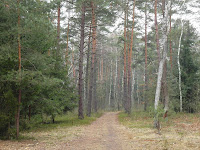 SAM_4058.JPG