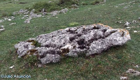 Menhir de Mendiluze Menhir de Mendiluze