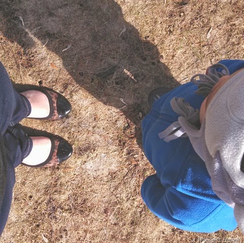 [IMG_20140407_163647_788_20140411094406622%255B3%255D.jpg]