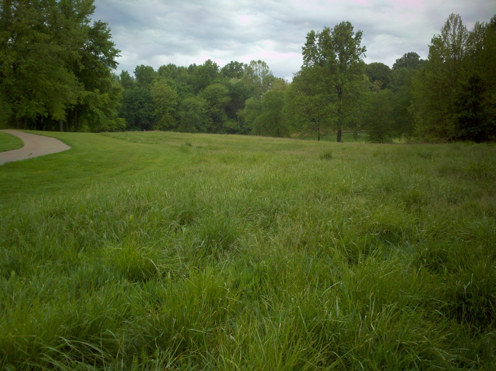 [2012-05-01_07-43-19_716%255B6%255D.jpg]