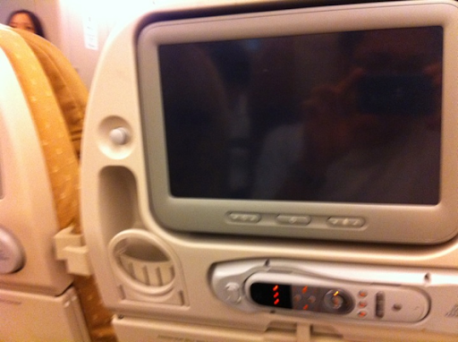 Singapore Airline