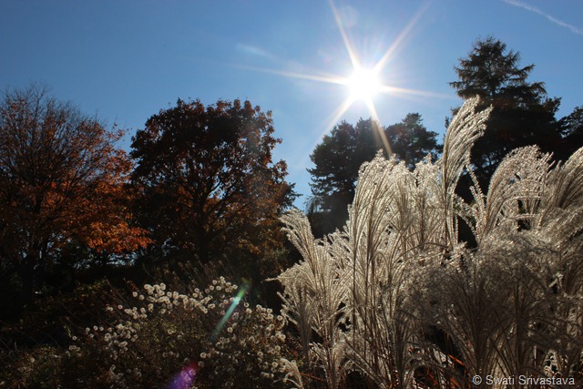 Sun_2 Sun_2