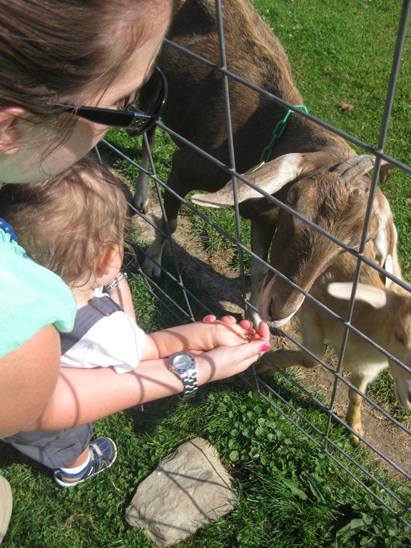 [2012.06.24%25204-Petting%2520Zoo%2520%252824%2529%255B4%255D.jpg]