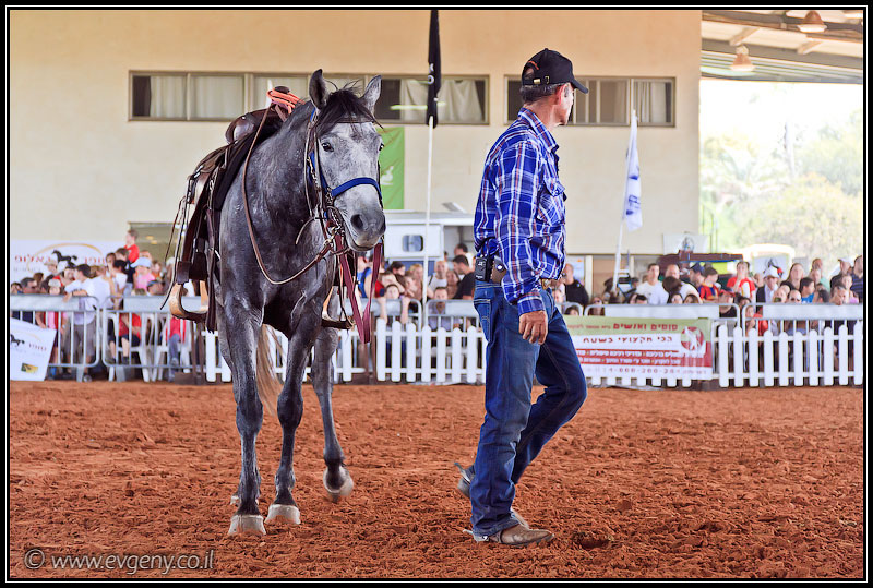 il/Фото: Stallion Show 2011 (20110416 stllion show 083 2362)