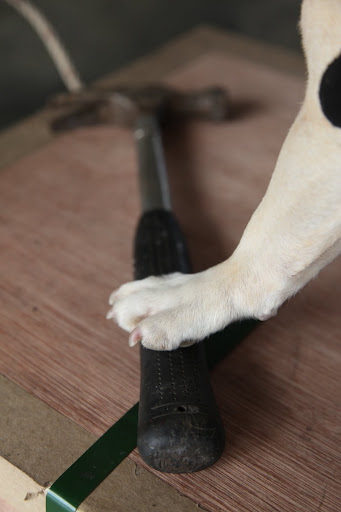 Next, I'll grab the hammer.