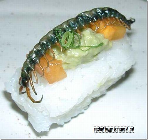 japanbizarrefoodstrange (4) japanbizarrefoodstrange (4)