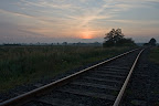 Moorexpress-Gleise in Ahrensfelde