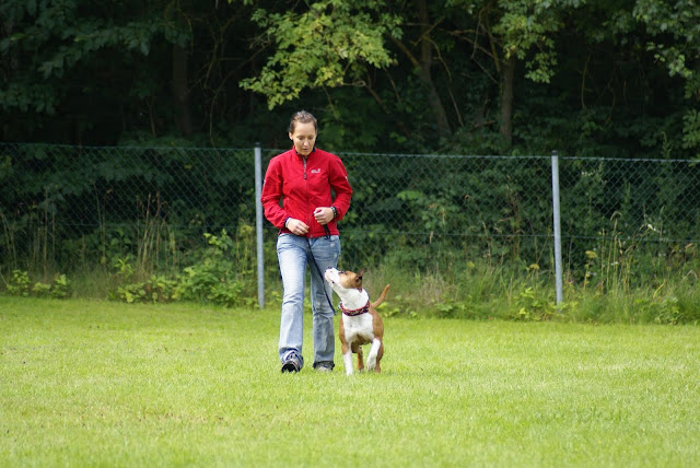 DSC04788.JPG