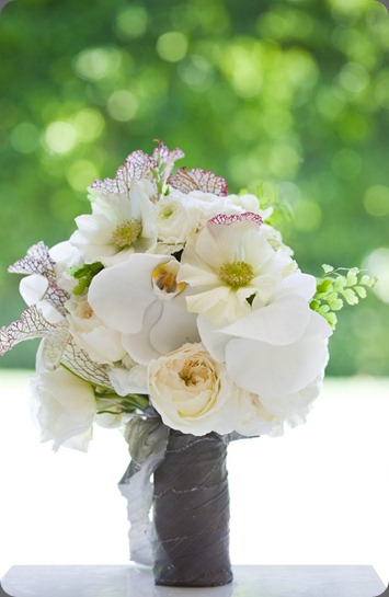 flowerwild 101030_a&a_00539_Small