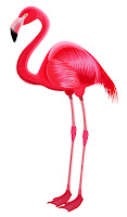 flamingo.jpg