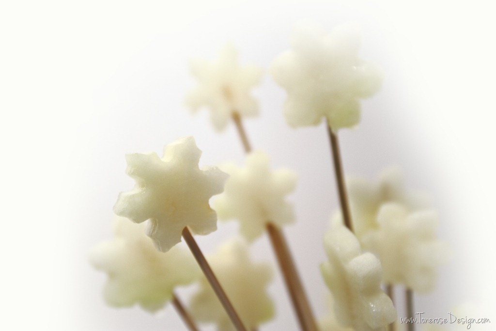 [IMG_3143%25202%2520melonpinner%25202%255B4%255D.jpg]