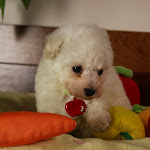 IMG_6611.jpg