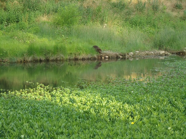[DSC00896%255B1%255D.jpg]