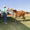 superleite2011_dia1507_128.JPG