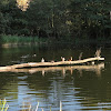 dsc03877.jpg