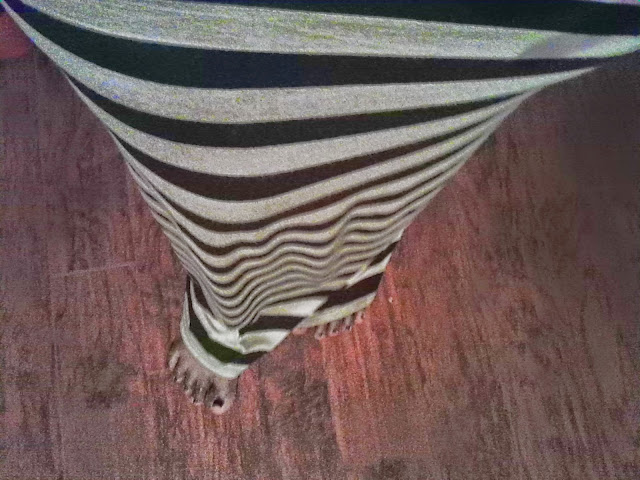 Horizontal Stripes & the Curvy Girl - Donna Foreverserenity