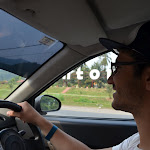 Pilote !