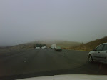 IMG00502-20091010-0907.jpg
