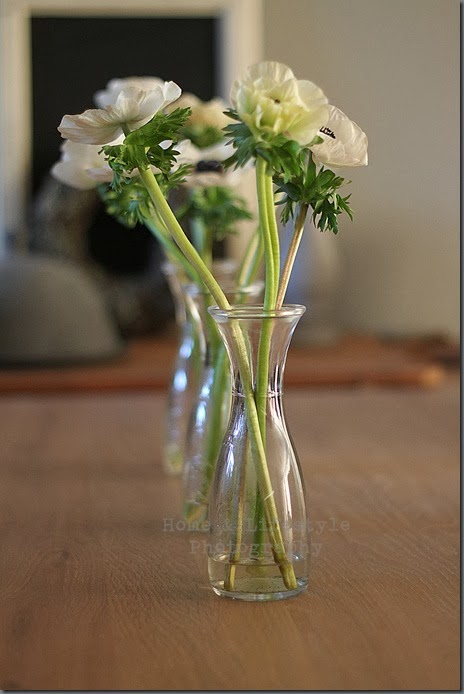 Home & Lifestyle Home & Lifestyle