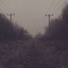 Shifted_Crossed Paths Shifted_Crossed Paths